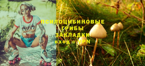 наркотики Алексин